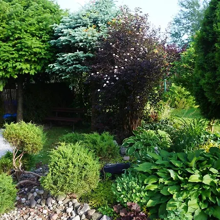 Jezioraczek Bis Urowo